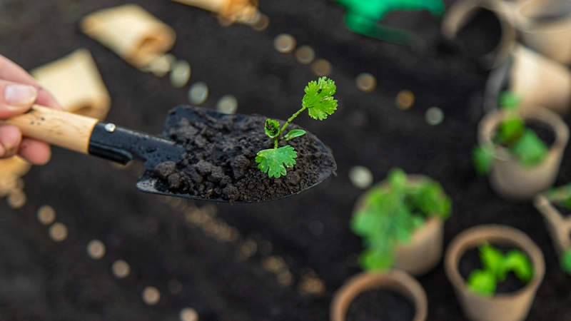 Karbon Ayak İzi Nasıl Hesaplanır?