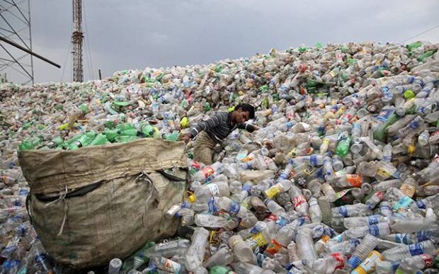 geri dönüşüm teşvik modeli